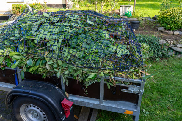 Best Carpet Removal and Disposal  in Channel Lake, IL